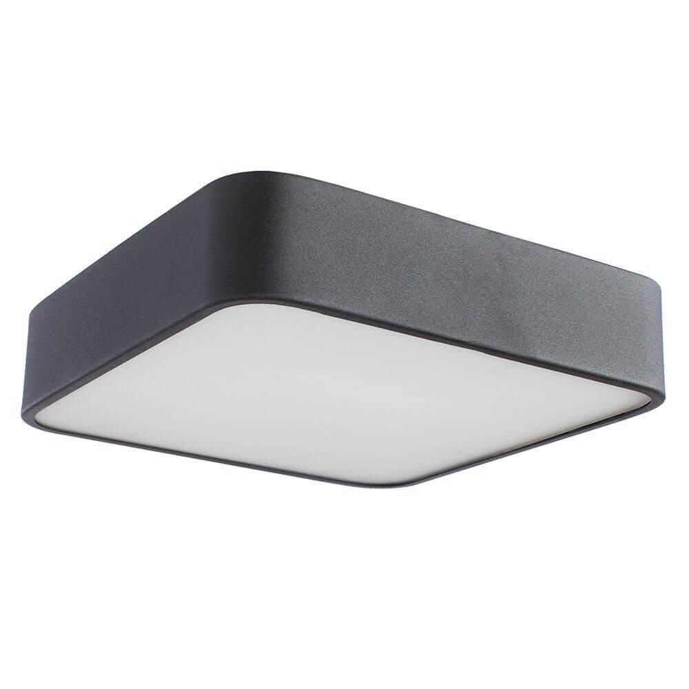 Накладной светильник ARTE Lamp A7210PL-2BK