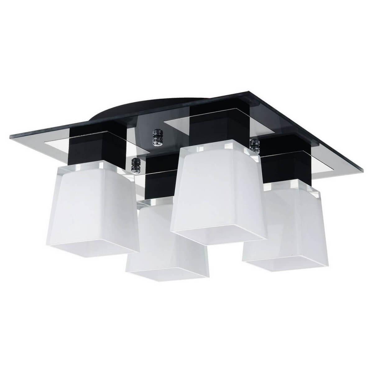 Накладная люстра Lussole GRLSC-2507-04