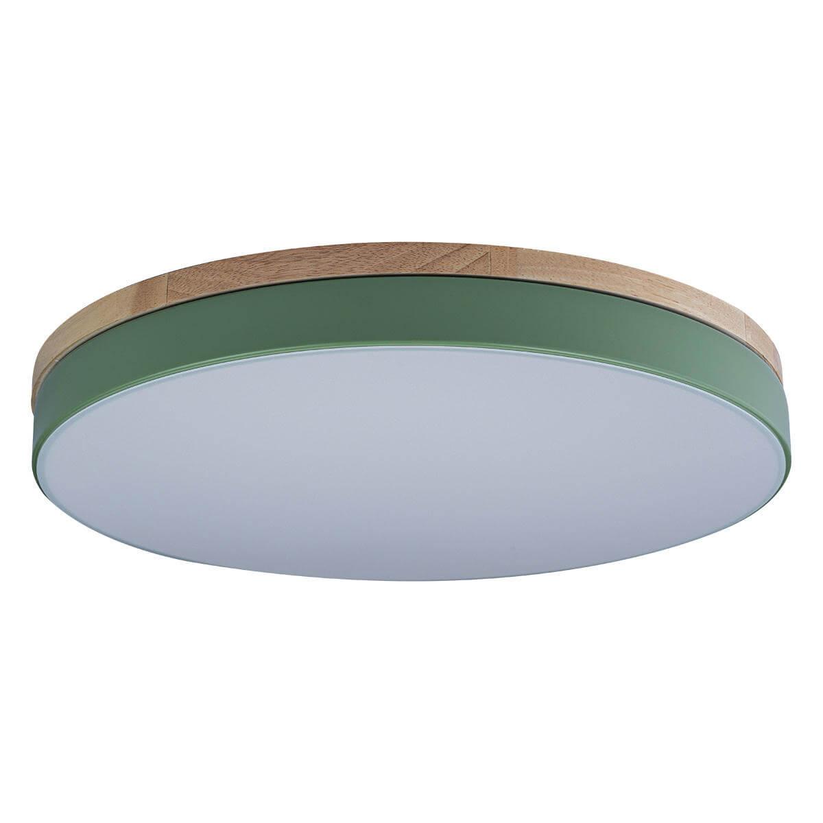 Потолочный детский светильник LOFT IT 10001/36 Green