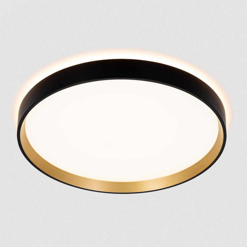 Накладной светильник Citilux CL750321R