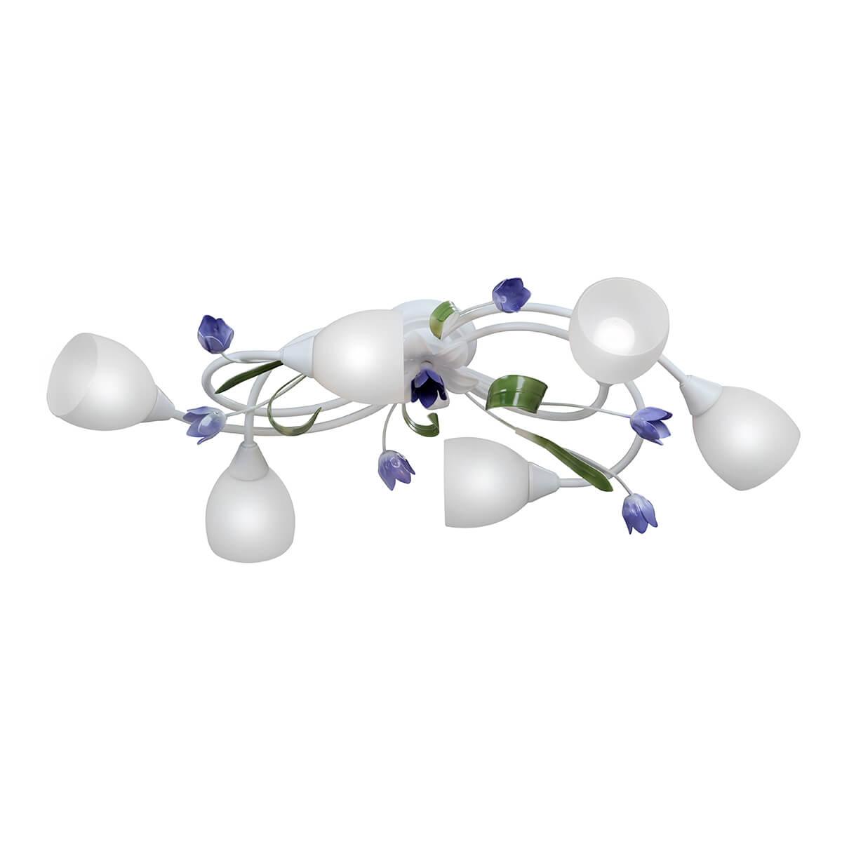 Накладная люстра Vitaluce V1467-0/6PL