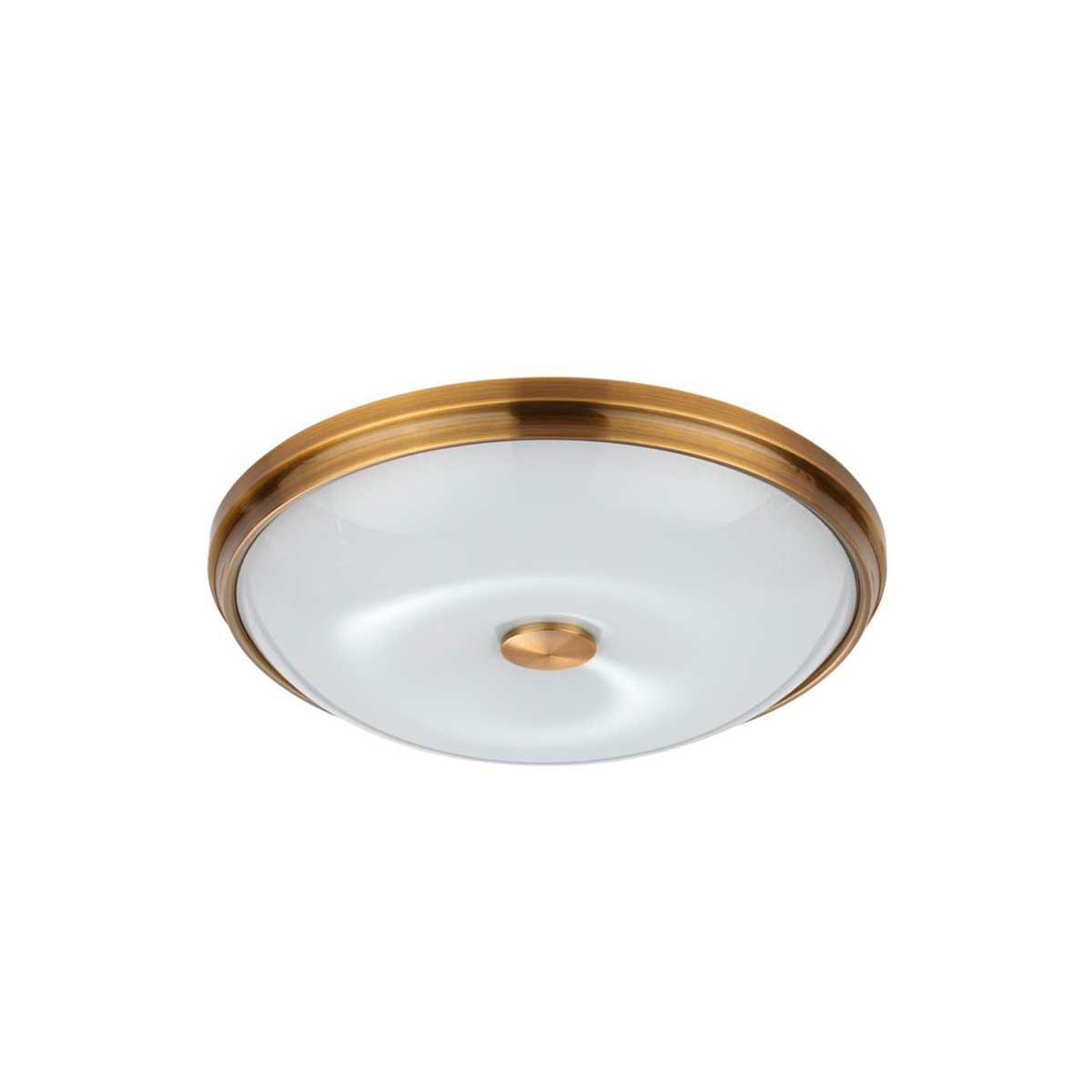 Накладной светильник Odeon Light 4956/4