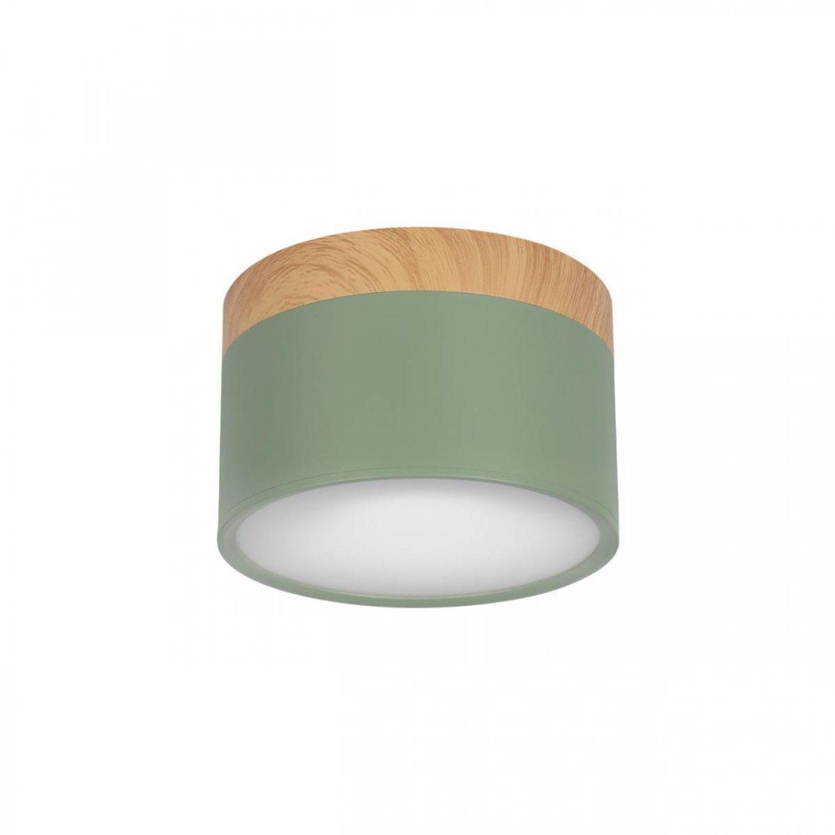 Детский точечный светильник LOFT IT 10162 Green