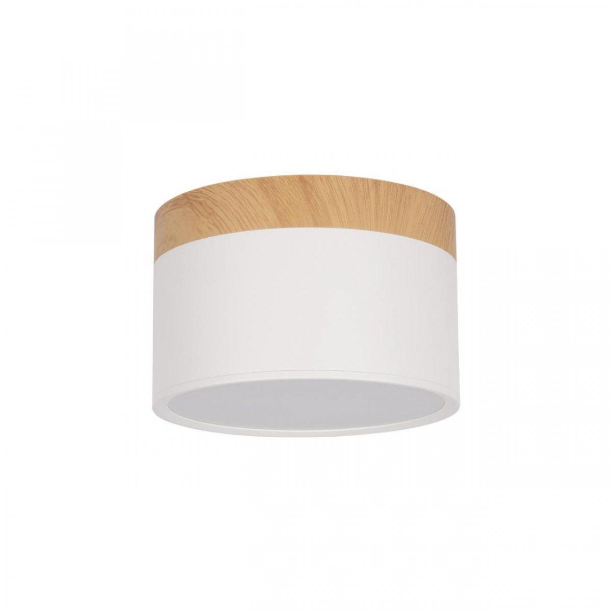 Детский точечный светильник LOFT IT 10162 White