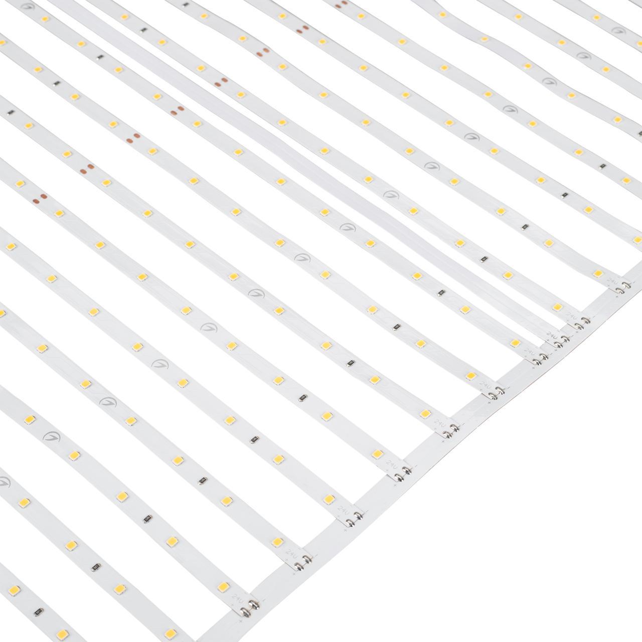 Светодиодная лента-сеть Arlight 43,6W/m 640LED/m 2835SMD дневной белый 3M 027120(2)
