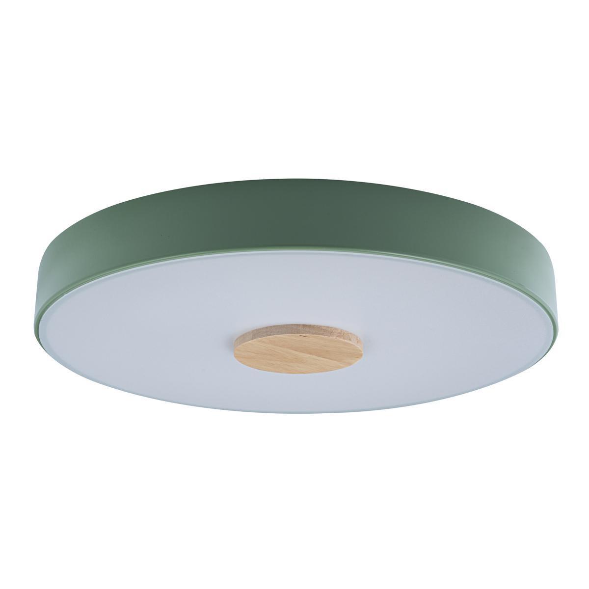 Потолочный детский светильник LOFT IT 10003/24 Green