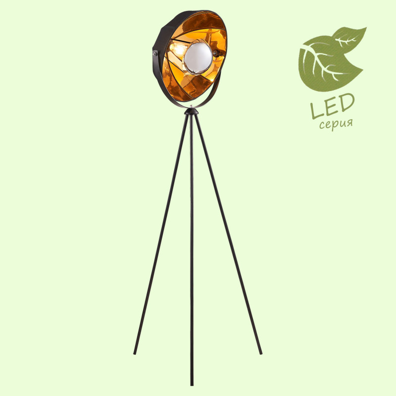 Торшер Lussole GRLSP-0556