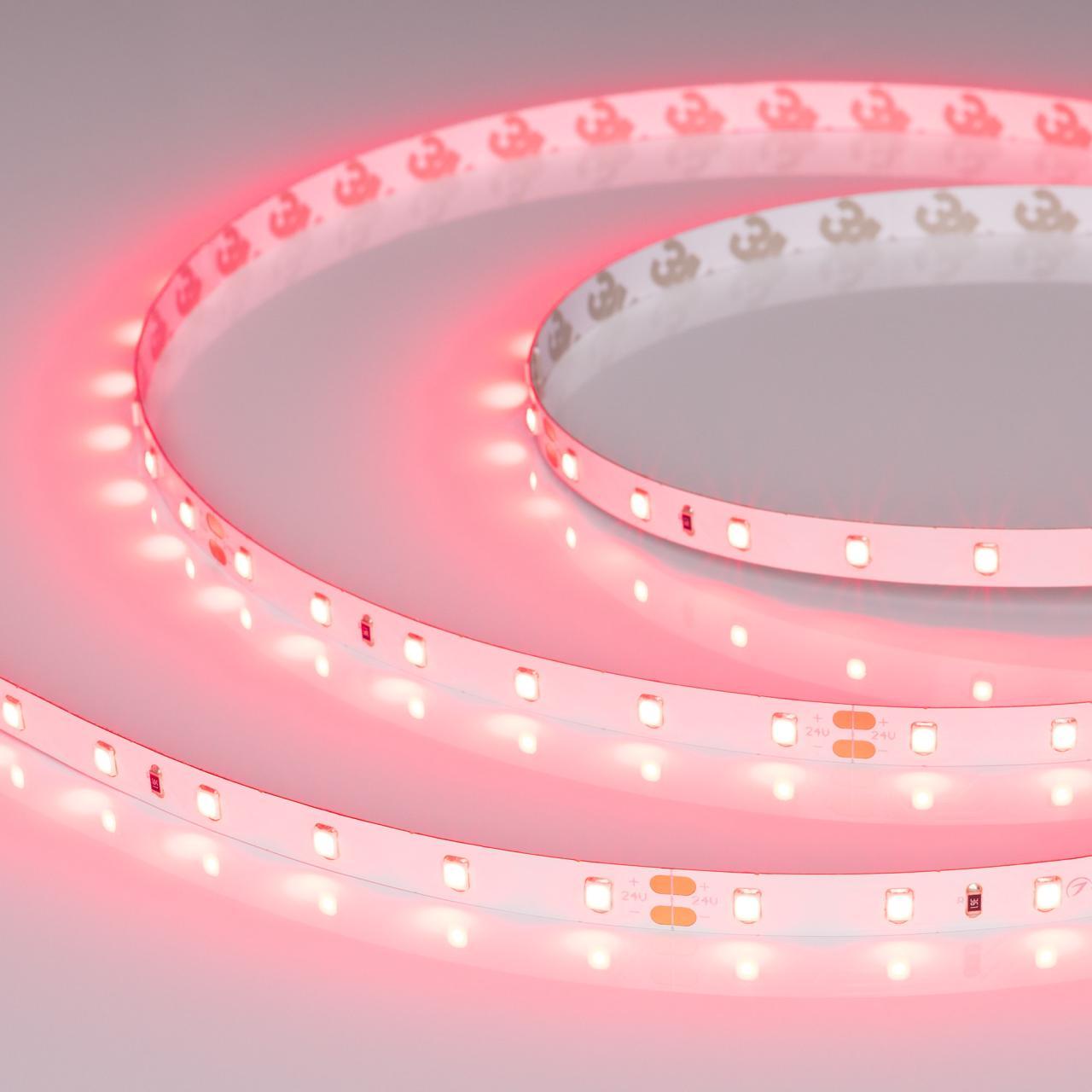 Светодиодная лента Alright RT-A60-8mm 24V Ruby (4.8 W/m, IP20, 5m) 055374