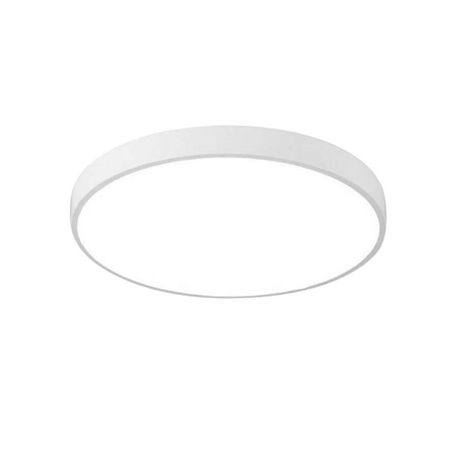 Накладной светильник ARTE Lamp A2670PL-1WH