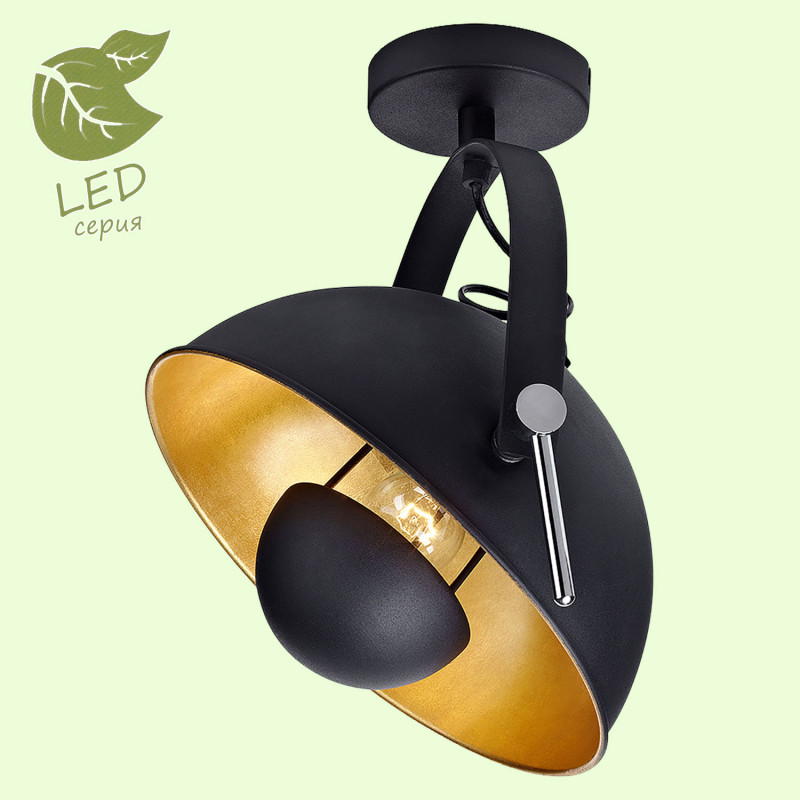 Спот Lussole GRLSP-9825