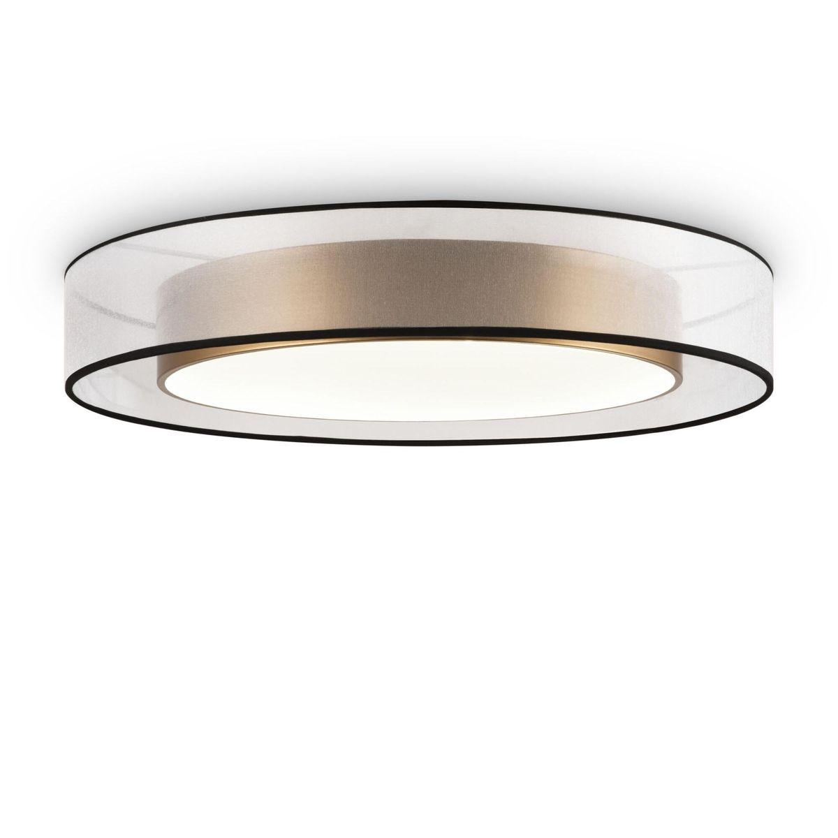 Накладной светильник Freya FR6005CL-L48G
