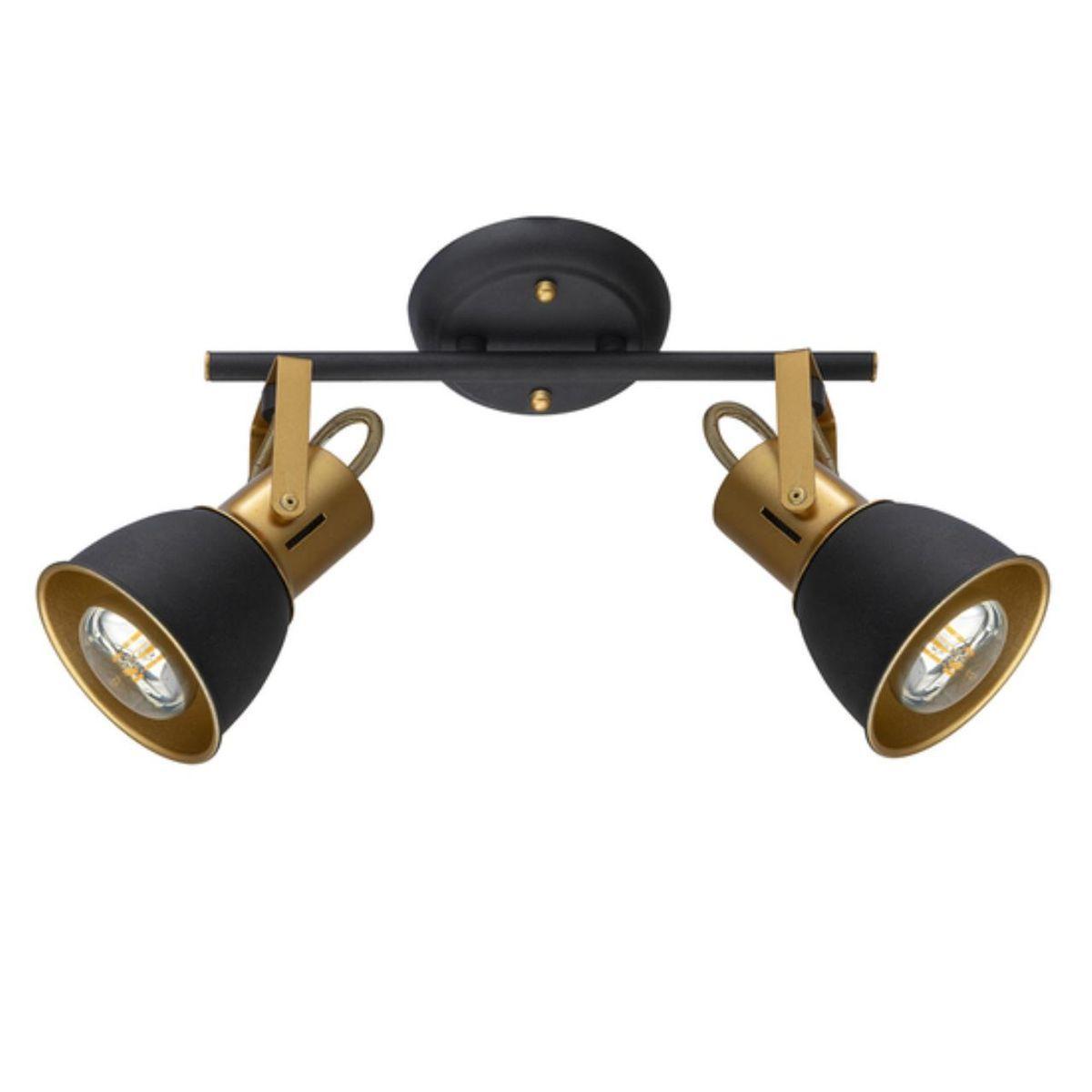 Спот ARTE Lamp A1677PL-2GO