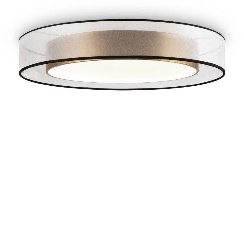 Накладной светильник Freya FR6005CL-L48G