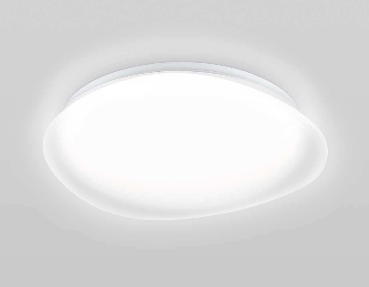 Накладной светильник Ambrella Light FZ1610