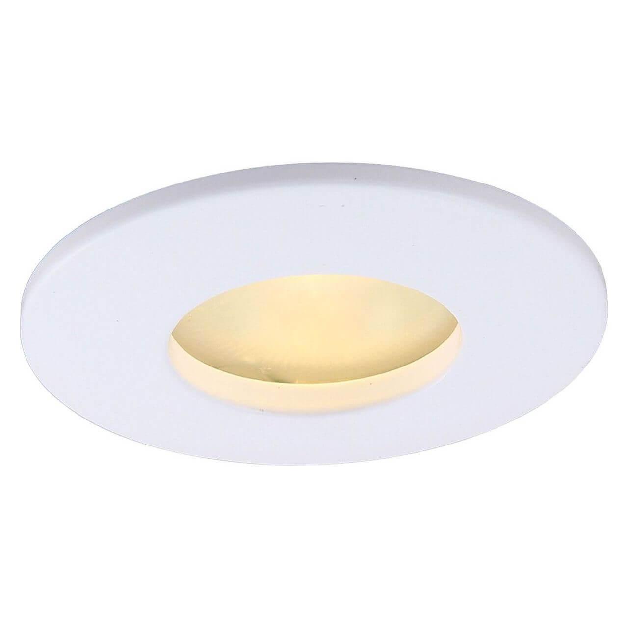 Влагозащищенный светильник ARTE Lamp A5440PL-1WH
