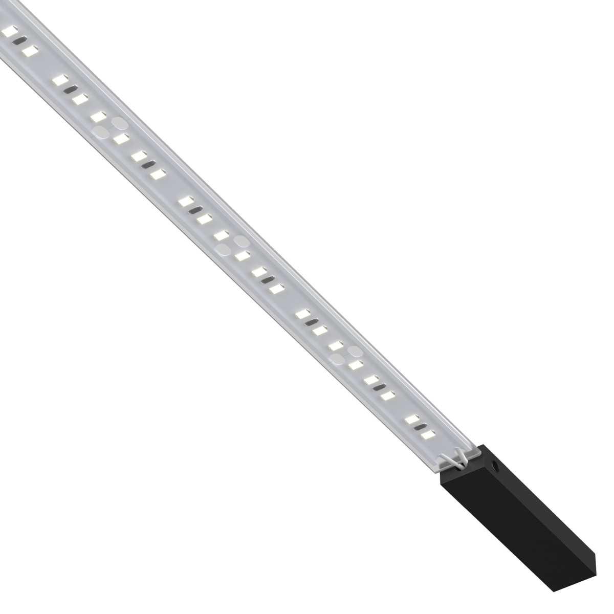 Светильник на шине Maytoni TR160-1-50W3K-5B