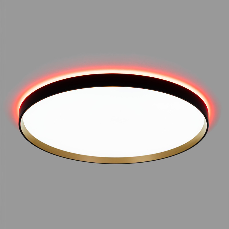 Накладной светильник Citilux CL750501R