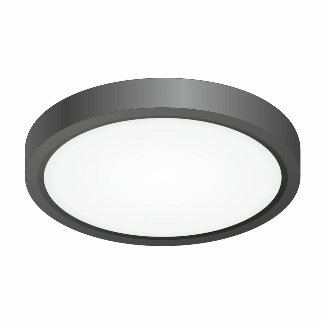 Накладной светильник Citilux CL738121N