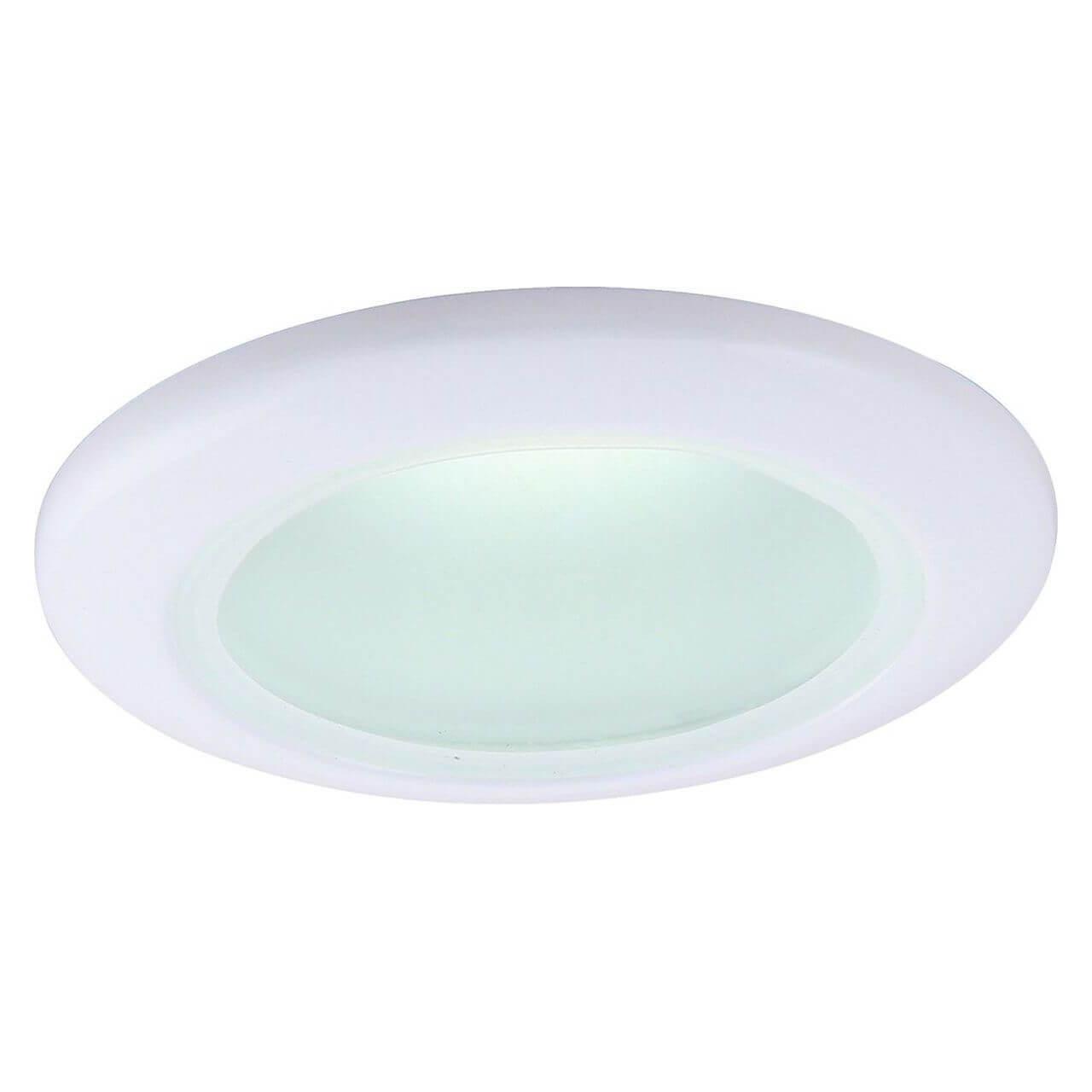 Влагозащищенный светильник ARTE Lamp A2024PL-1WH