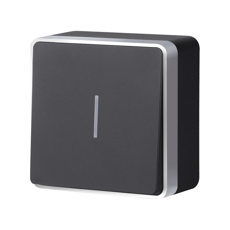 Выключатель Werkel W5010134 черный с серебром