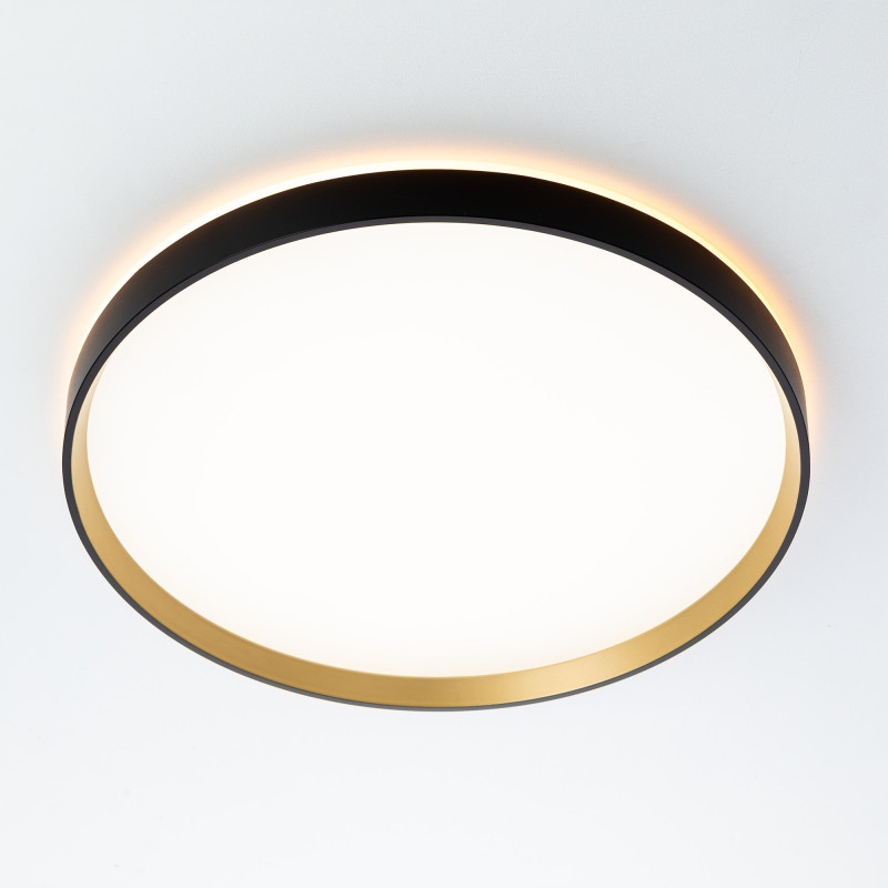 Накладной светильник Citilux CL750401R