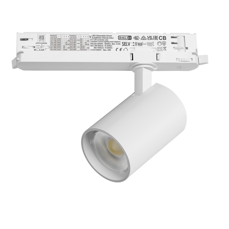 Светильник на шине Lightstar A5246DALI