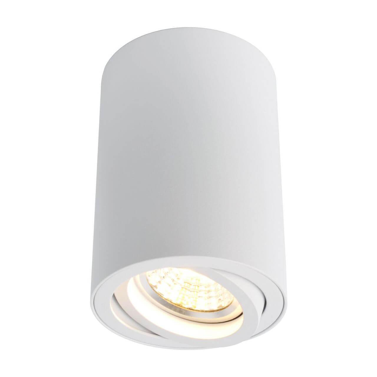 Накладной светильник ARTE Lamp A1560PL-1WH