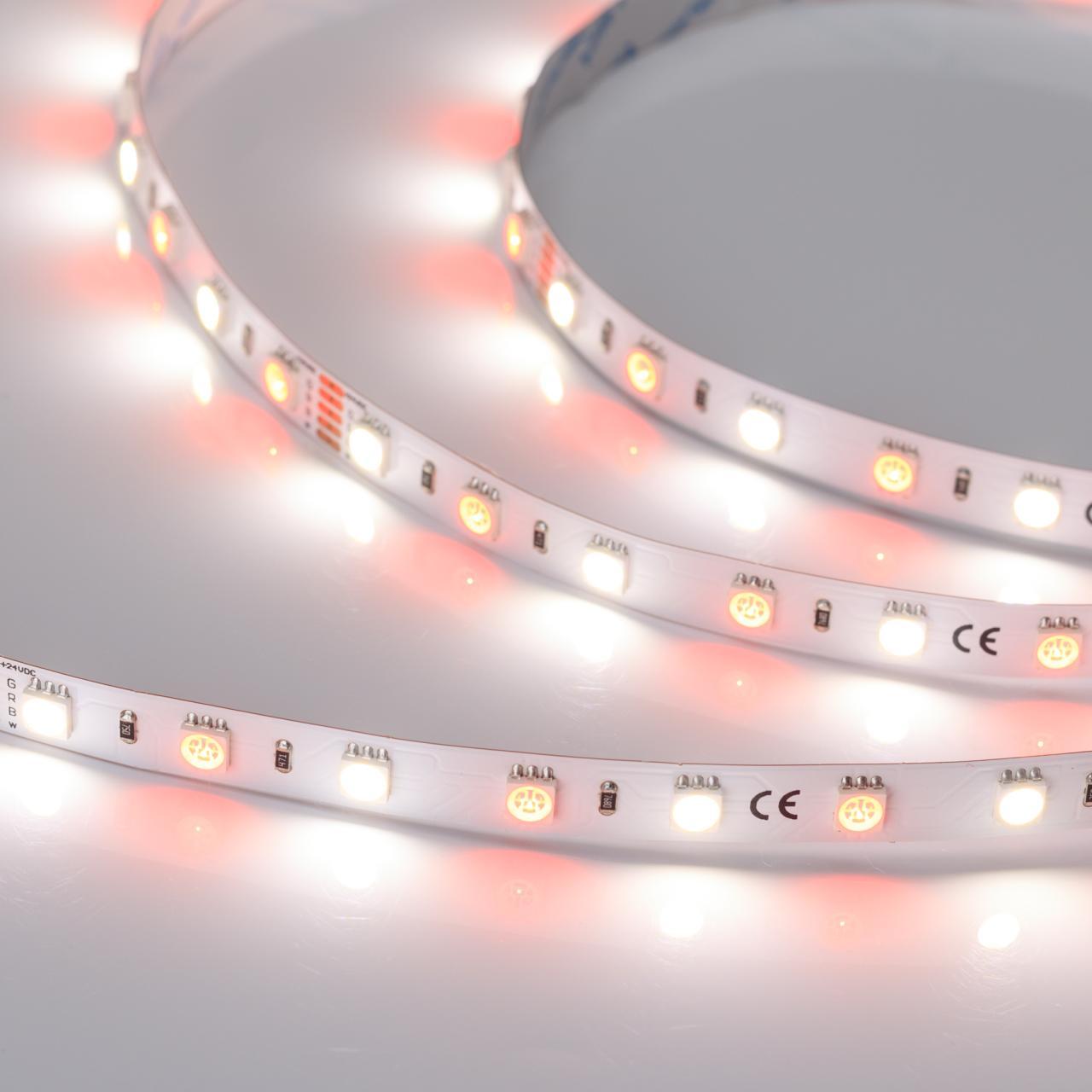 Светодиодная лента RT-B60-10mm 24V RGBW-Day (14.4 W/m, IP20, 5m) Arlight 018326(3)