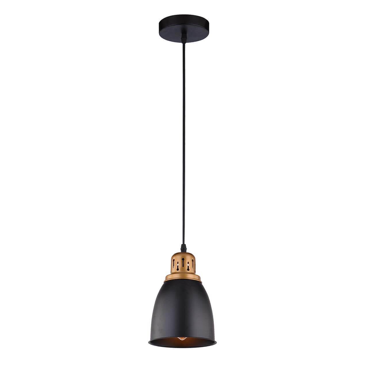 Подвесной светильник ARTE Lamp A4248SP-1BK