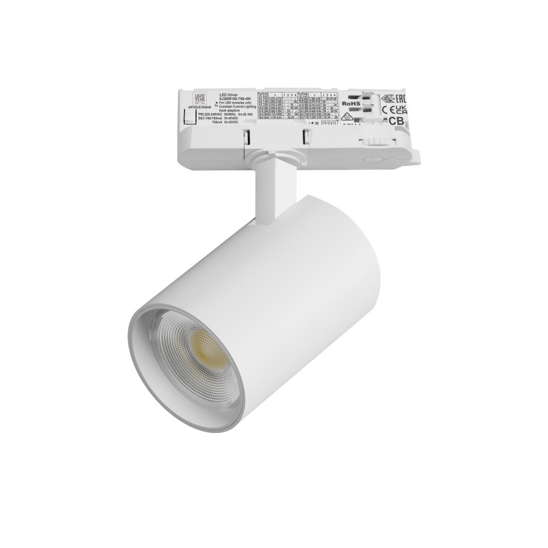 Светильник на шине Lightstar A5246QT