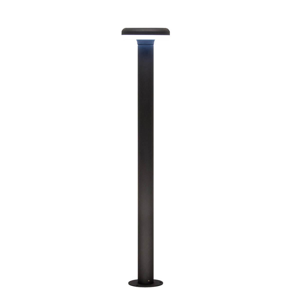 Уличный светодиодный светильник Citilux CLU01B