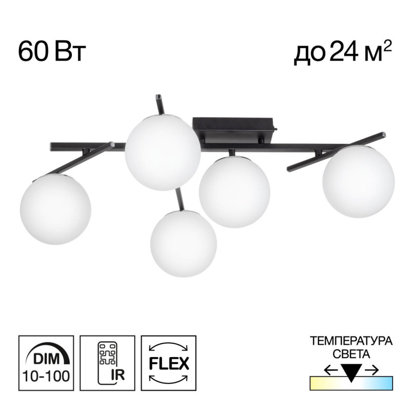 Накладная люстра Citilux CL223152