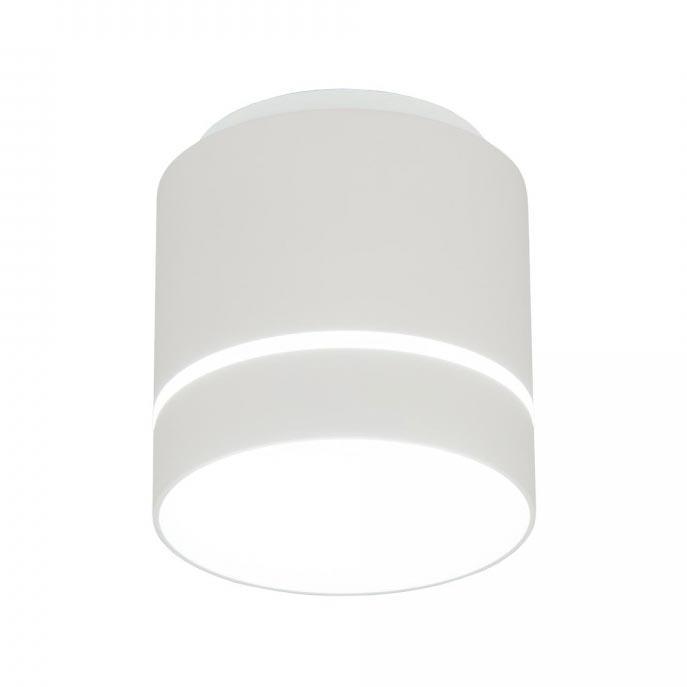 Накладной светильник Citilux CL745020N