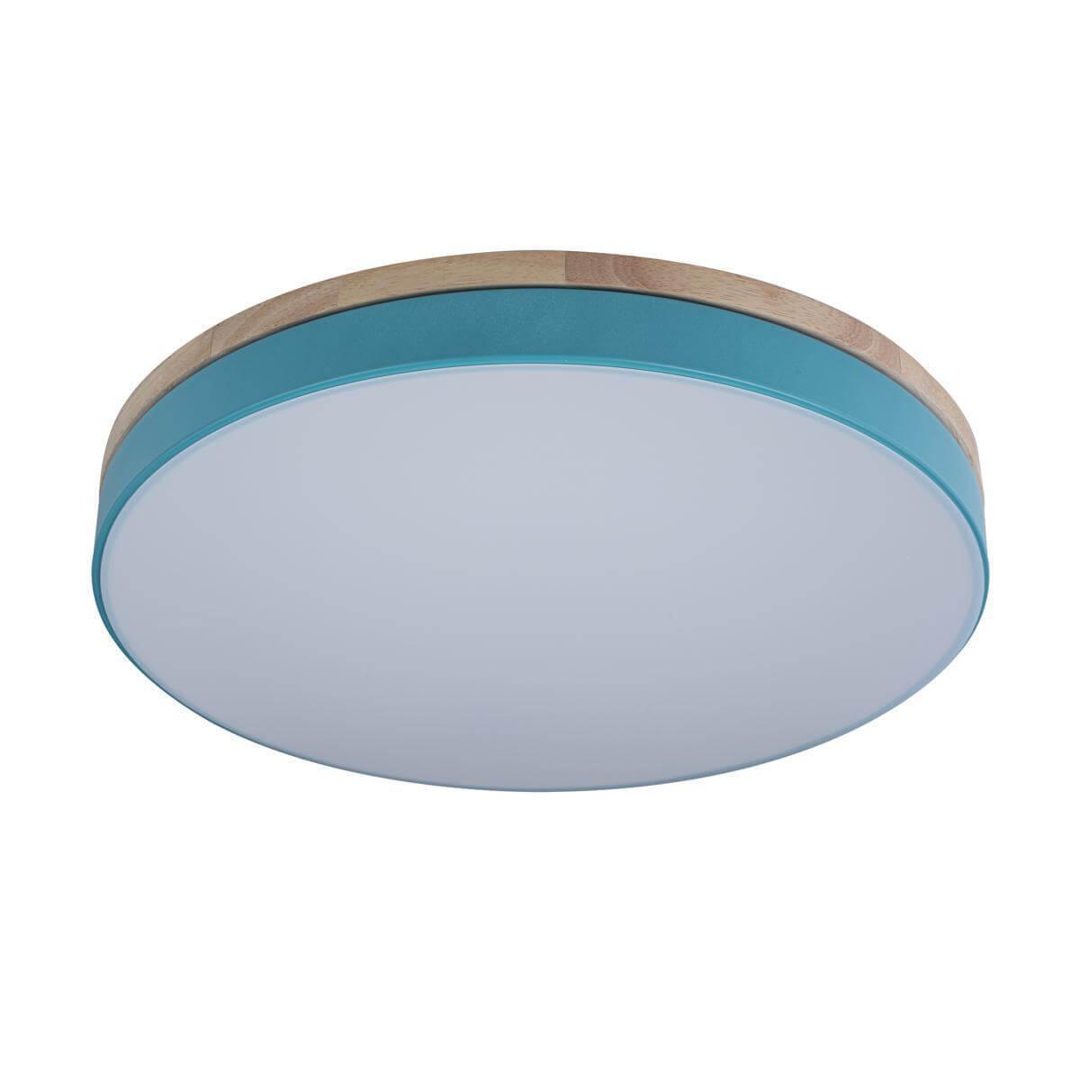 Потолочный детский светильник LOFT IT 10001/36 Blue