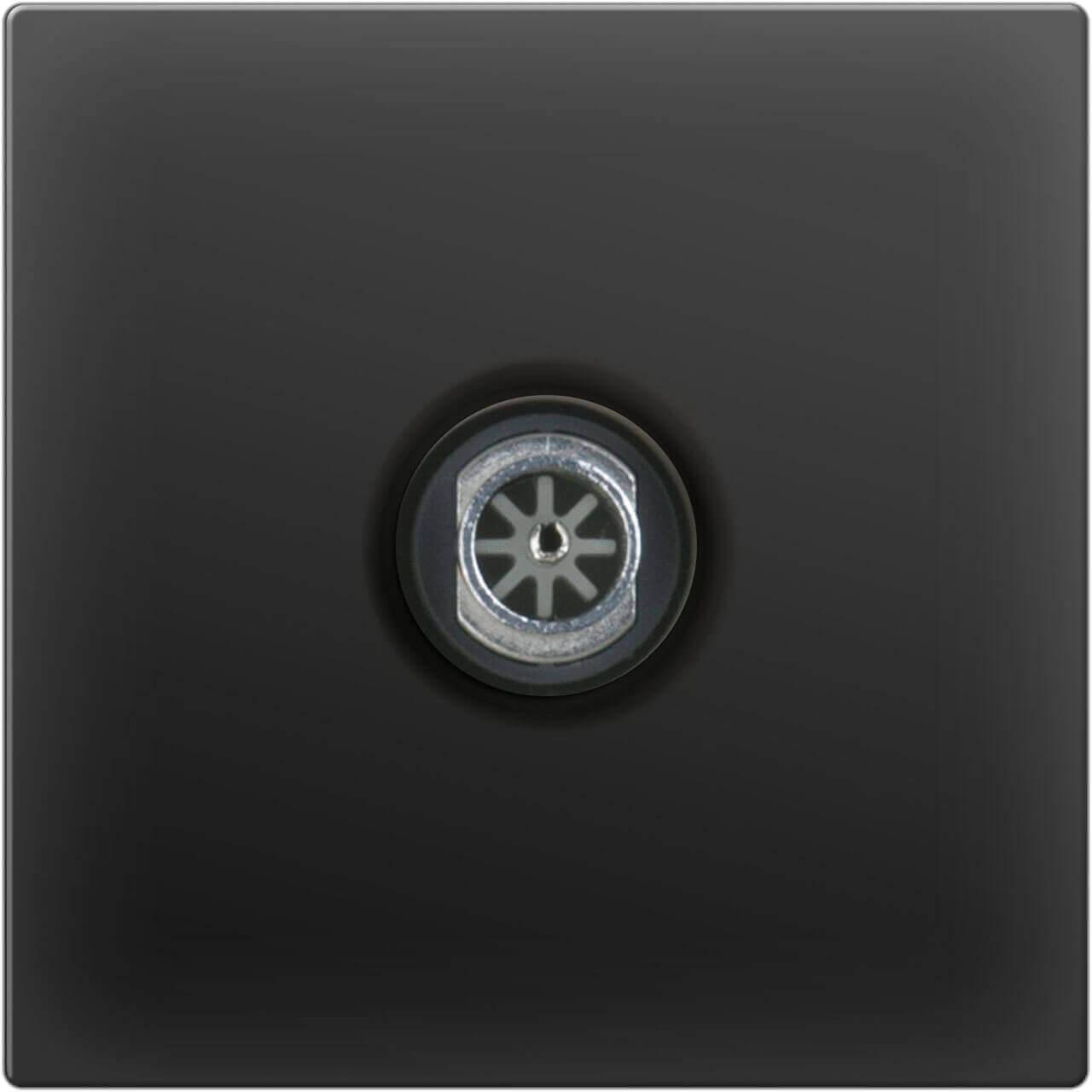 ТВ-розетка проходная Werkel черный матовый WL08-TV-2W 4690389073519