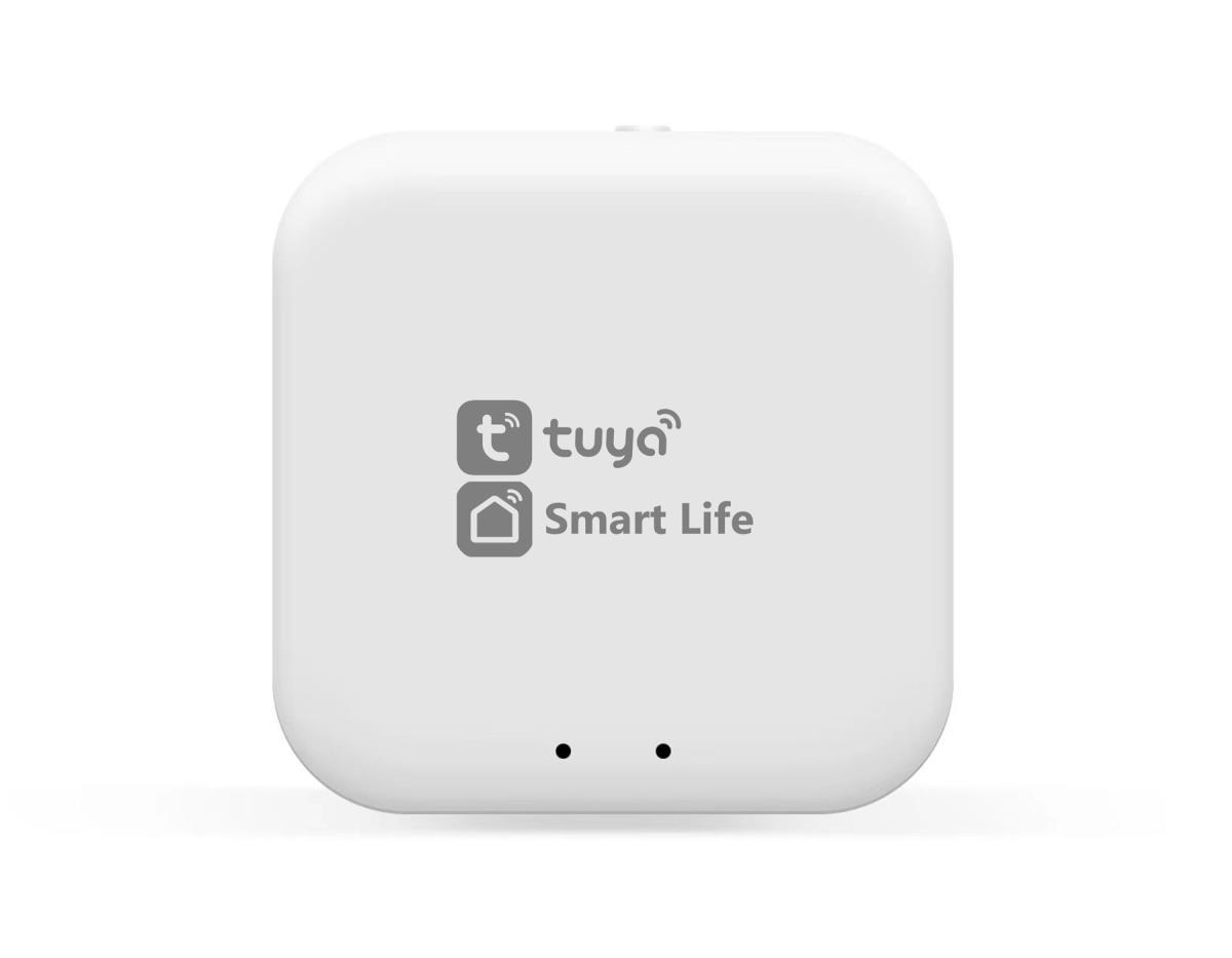 WI-FI конвертер Ambrella Light GL1920
