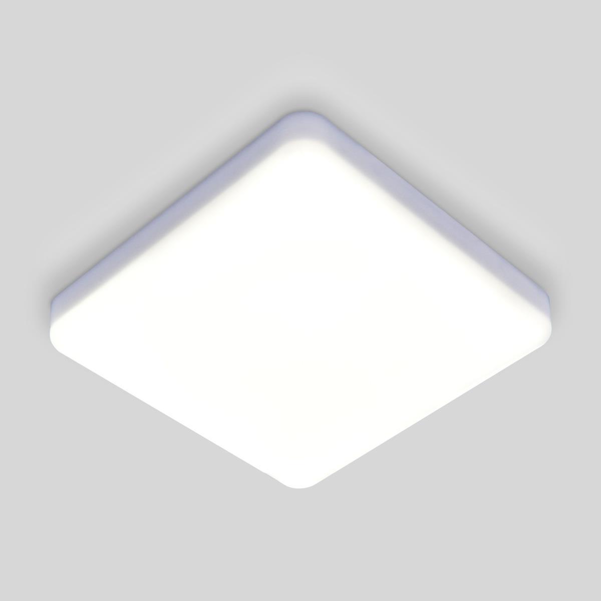 Потолочный светодиодный светильник Elektrostandard DLS043 10W 4200K a047941