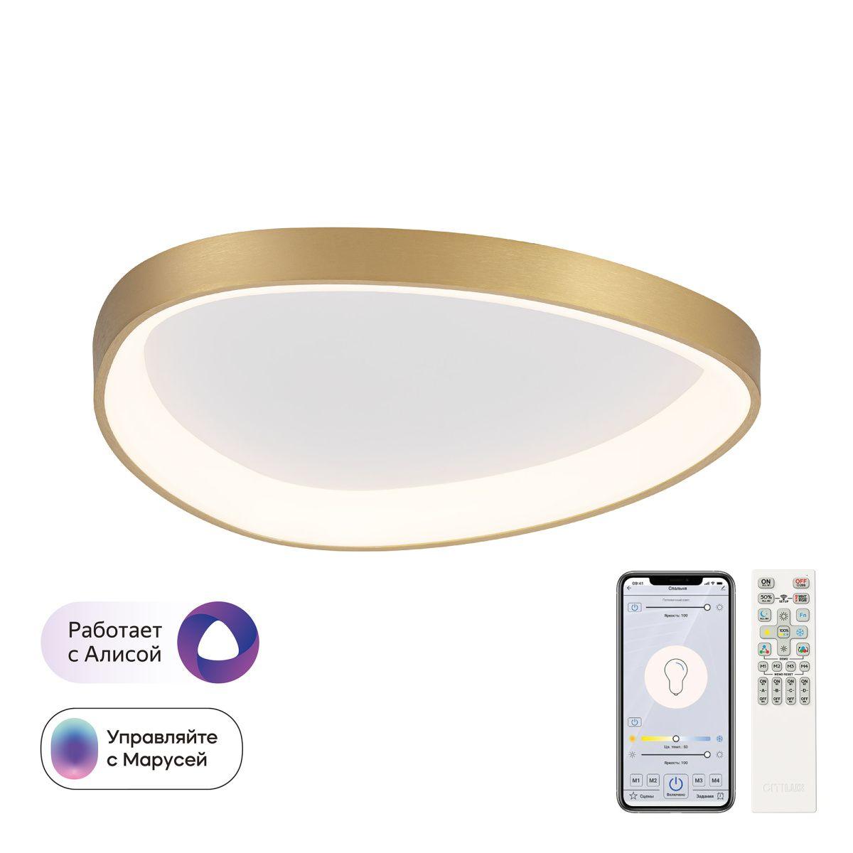 Накладной светильник Citilux CL756A142