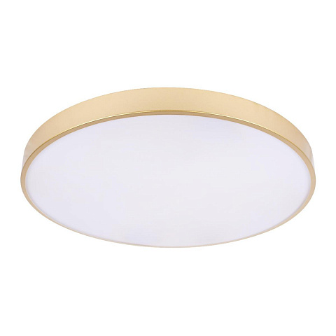 Потолочный светодиодный светильник Loft IT Flims 10228/B