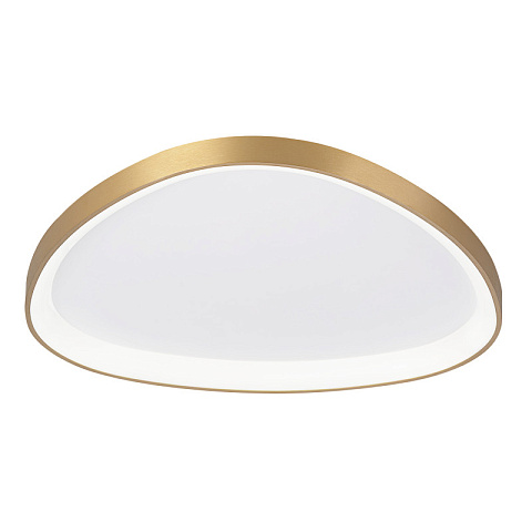 Накладной светильник Citilux CL756A162