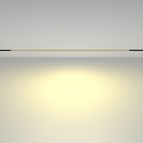 Светильник на шине Maytoni TR030-2-30W2.7K-B
