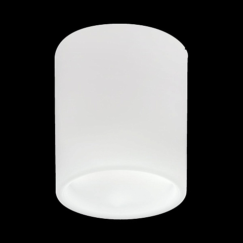 Накладной светильник Lightstar Solido E27 216626