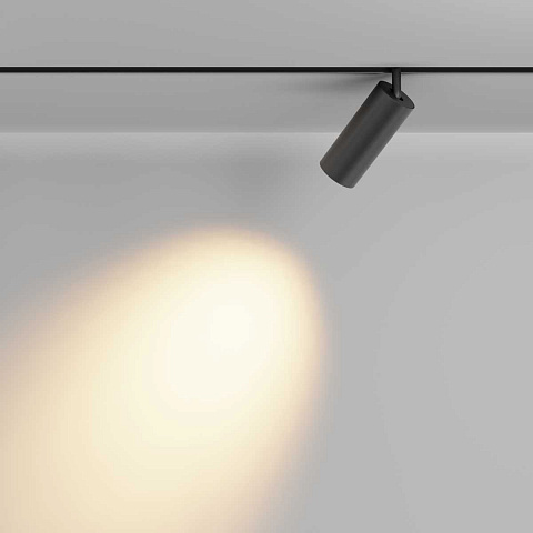 Светильник на шине Maytoni TR032-2-20W2.7K-M-B
