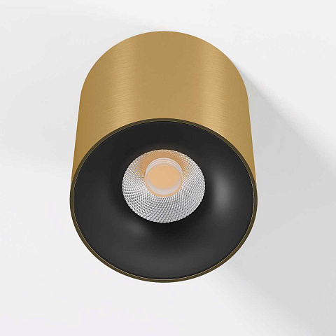 Потолочный светодиодный светильник Elektrostandard Primo 25116/LED a069414