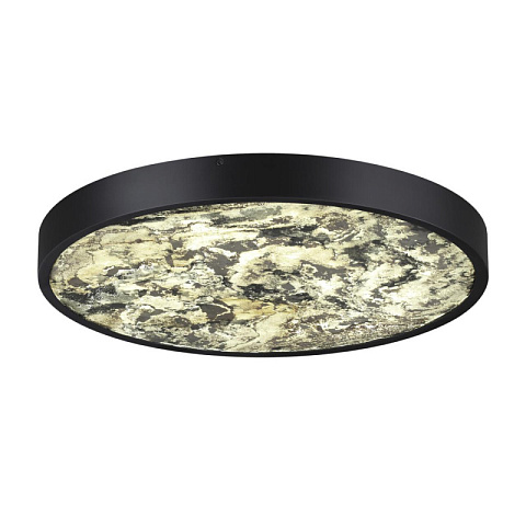 Бра Odeon Light 5064/40L