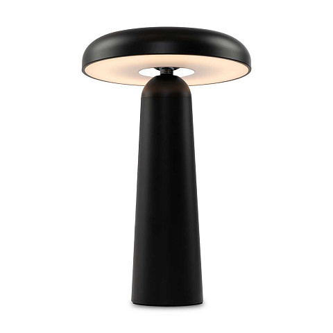 Аккумуляторный светильник Freya FR6109TL-L4B