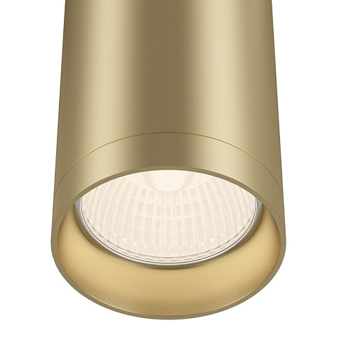Накладной светильник Maytoni C010CL-01MG