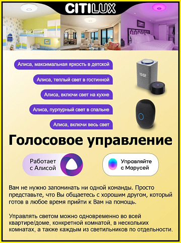 Накладной светильник Citilux CL713A40G
