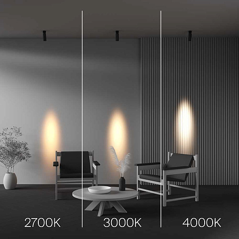 Спот Maytoni C055CL-L12W4K-SS-B