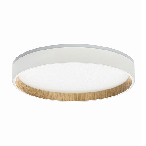 Накладной светильник Citilux CL750240